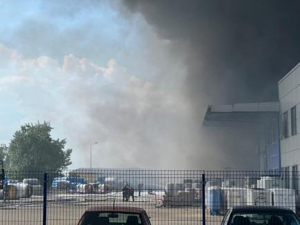VIDEO: Ard coletele! Incendiul de pe Borșului a cuprins o hală de 4.000 mp, în care funcționează inclusiv o firmă de curierat