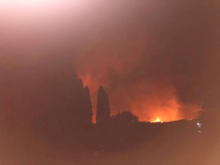 Incendiu devastator în Bihor: O casă şi acoperişul unui service auto, distruse de flăcări (FOTO / VIDEO)