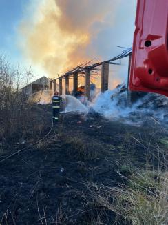Incendiu uriaş la o fermă din Borş, provocat de o ţigară! Pompierii au luptat cu flăcările mai multe ore (FOTO / VIDEO)