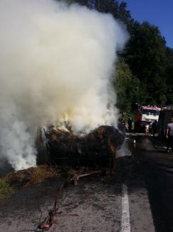 Pădure în pericol: Remorca unui tractor a luat foc la marginea pădurii Bratca (FOTO)