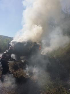 Pădure în pericol: Remorca unui tractor a luat foc la marginea pădurii Bratca (FOTO)