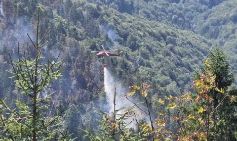 A fost stins incendiul masiv de pădure dintre Stâna de Vale și Budureasa. A izbucnit de la un trăsnet (FOTO/VIDEO)