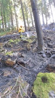 A fost stins incendiul masiv de pădure dintre Stâna de Vale și Budureasa. A izbucnit de la un trăsnet (FOTO/VIDEO)