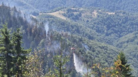 A fost stins incendiul masiv de pădure dintre Stâna de Vale și Budureasa. A izbucnit de la un trăsnet (FOTO/VIDEO)