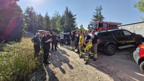 A fost stins incendiul masiv de pădure dintre Stâna de Vale și Budureasa. A izbucnit de la un trăsnet (FOTO/VIDEO)