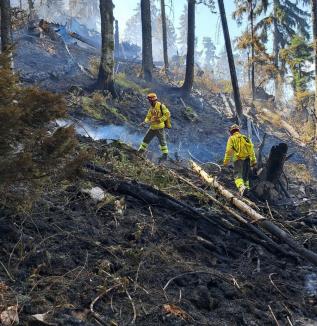 A fost stins incendiul masiv de pădure dintre Stâna de Vale și Budureasa. A izbucnit de la un trăsnet (FOTO/VIDEO)