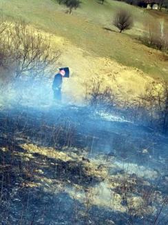 Foc în pădurea din Budureasa: Mai mulţi arbori s-au făcut scrum (FOTO / VIDEO)