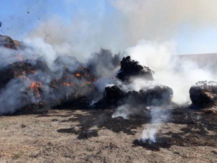Incendiu la Căminul Felix: 600 de baloţi de paie s-au făcut scrum, din pricina unei ţigări (FOTO)