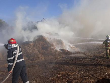 Incendiu la Căminul Felix: 600 de baloţi de paie s-au făcut scrum, din pricina unei ţigări (FOTO)