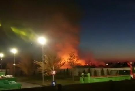 Incendiu în cimitirul municipal din Oradea! (VIDEO)