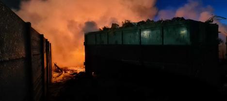 Incendiul din cimitirul Oradiei ar fi pornit de la o ţigară. Pompierii au intervenit timp de 5 ore (FOTO / VIDEO)