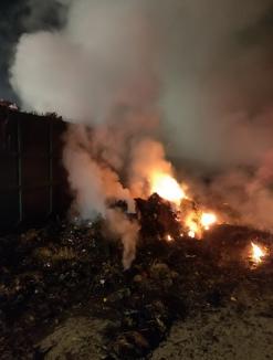Incendiul din cimitirul Oradiei ar fi pornit de la o ţigară. Pompierii au intervenit timp de 5 ore (FOTO / VIDEO)