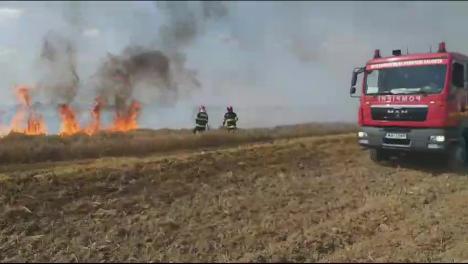 Atenție la utilajele agricole! O combină şi un lan de grâu de patru hectare au ars într-o comună din Bihor (FOTO)
