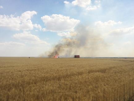 50 de hectare de grâu, arse într-un incendiu uriaş