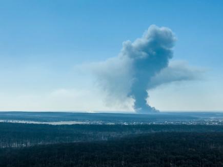 Incendii de vegetație, în mai multe localități din Bihor. Vezi care sunt acestea! (FOTO/VIDEO)