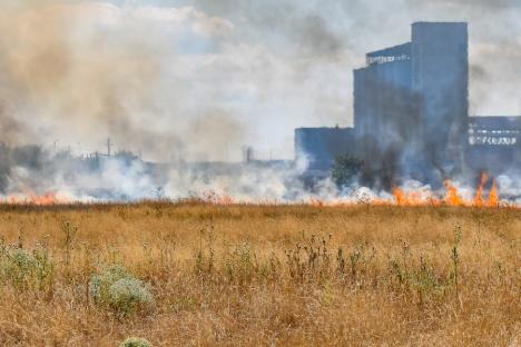 Fermierii care dau foc terenurilor riscă amenzi. ISU și APIA colaborează pentru identificarea proprietarilor pământurilor incendiate