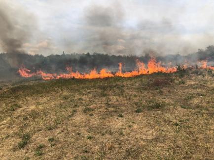 Incendiul de pe dealurile Oradiei a fost stins. Au ars 21 de hectare de vegetație (FOTO/VIDEO)