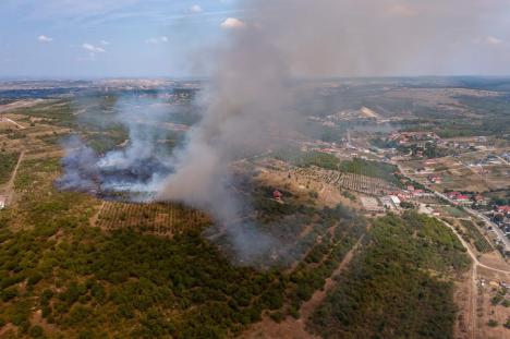 Incendiul de pe dealurile Oradiei a fost stins. Au ars 21 de hectare de vegetație (FOTO/VIDEO)