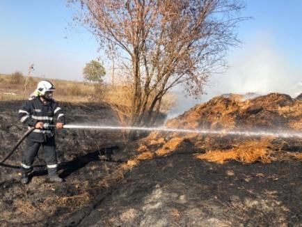 Incendiile de vegetaţie, o ameninţare reală. La Diosig, flăcările de pe câmp s-au apropiat periculos de case (VIDEO)