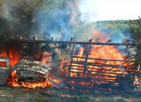 Incendiu violent în Bihor: Au ars două mașini și o construcție din lemn (FOTO/VIDEO)