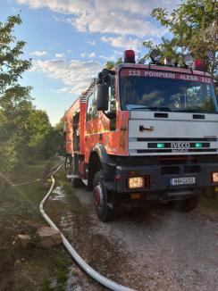 Incendiu violent în Bihor: Au ars două mașini și o construcție din lemn (FOTO/VIDEO)
