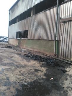 Incendiul de la groapa de gunoi din Oradea: Au ars circa 90 de tone de deşeuri (FOTO)