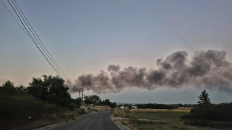 Incendiu într-o balastieră de lângă Oradea (FOTO)