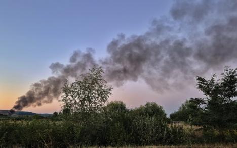 Incendiu într-o balastieră de lângă Oradea (FOTO)