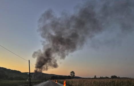 Incendiu într-o balastieră de lângă Oradea (FOTO)