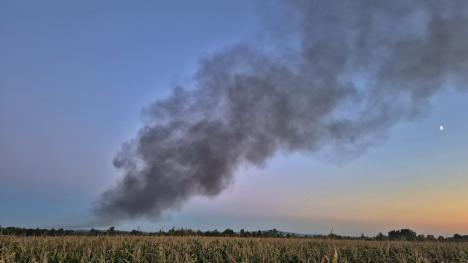 Incendiu într-o balastieră de lângă Oradea (FOTO)