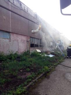 Incendiu violent la o fabrică de mobilă din Beiuş. Un scurtcircuit a provocat distrugerea unei hale