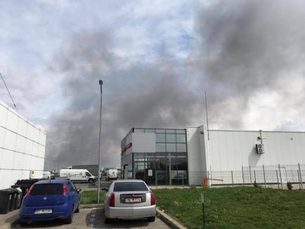 Incendiu puternic la un depozit de cherestea de pe strada Ogorului: A ars o hală întreagă, utilaje și cherestea! (FOTO / VIDEO)