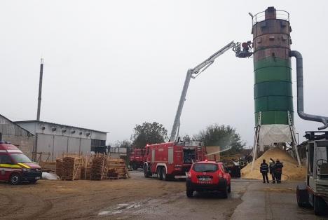 Incendiu la o fabrică de mobilă din Bihor: Peste 30 de pompieri au intervenit, cu 6 autospeciale, pentru stingerea focului (FOTO/VIDEO)