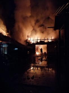 Incendii violente, în Bihor. Un bărbat de 51 de ani a ajuns la spital, după ce a încercat să stingă flăcările izbucnite în propria-i locuinţă (FOTO)
