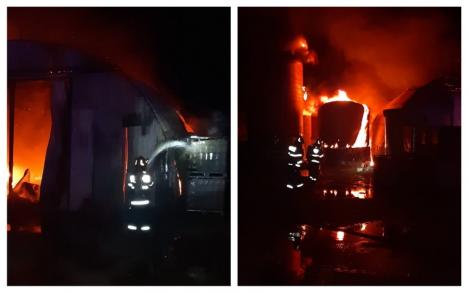 Incendiu violent la o hală industrială din Bihor, izbucnit de la un cablu