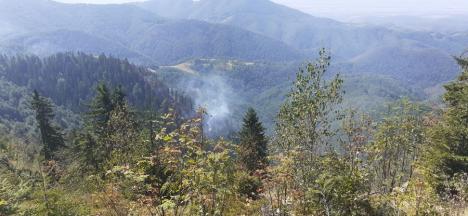 Incendiul forestier masiv din Bihor n-a fost stins încă, dar a fost localizat: Se aruncă apă și dintr-un elicopter. Mesajul colonelului Csilik (FOTO/VIDEO)