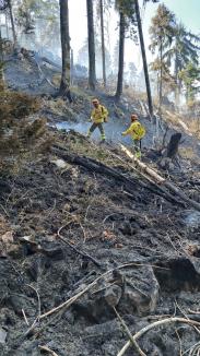 Incendiul forestier masiv din Bihor n-a fost stins încă, dar a fost localizat: Se aruncă apă și dintr-un elicopter. Mesajul colonelului Csilik (FOTO/VIDEO)