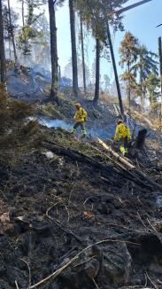 Incendiul forestier masiv din Bihor n-a fost stins încă, dar a fost localizat: Se aruncă apă și dintr-un elicopter. Mesajul colonelului Csilik (FOTO/VIDEO)