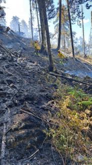 Incendiul forestier masiv din Bihor n-a fost stins încă, dar a fost localizat: Se aruncă apă și dintr-un elicopter. Mesajul colonelului Csilik (FOTO/VIDEO)