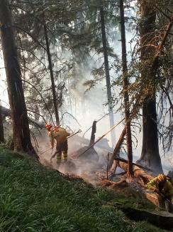 Incendiul forestier masiv din Bihor n-a fost stins încă, dar a fost localizat: Se aruncă apă și dintr-un elicopter. Mesajul colonelului Csilik (FOTO/VIDEO)