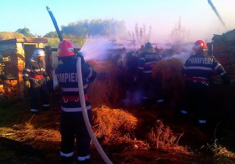 Incendiu în Bălnaca, după ce un localnic a vrut să distrugă un cuib de viespi