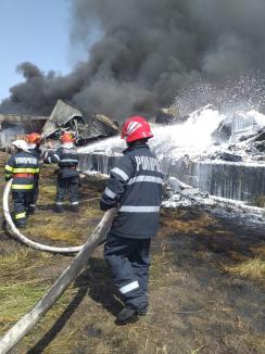 Detalii despre depozitul din Bihor unde ard cantităţi uriaşe de gunoaie. Primăria Salonta: „Nu a respectat regulile” (FOTO / VIDEO)