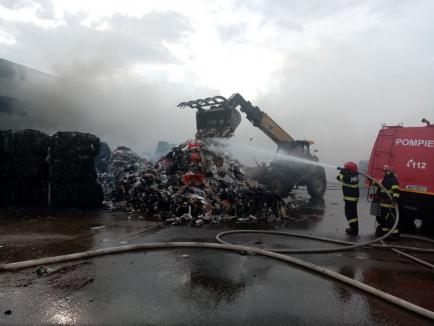 Incendiu la groapa de gunoi a Oradiei! Au ars deşeuri pe circa 300 metri pătraţi (FOTO / VIDEO)