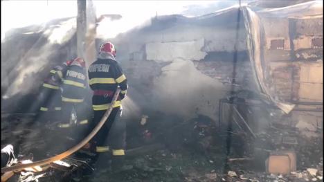 Cauza incendiului de la hala de pe strada Matei Corvin din Oradea (FOTO/VIDEO)