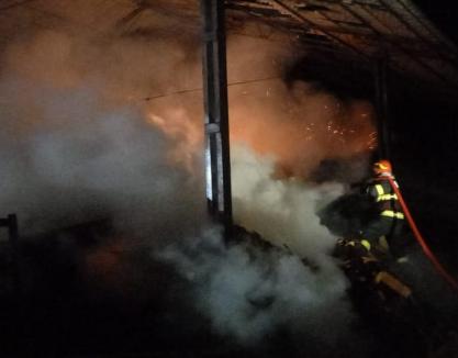 Arde un depozit de material lemnos din Săcueni! Peste 20 de pompieri intervin (FOTO/VIDEO)
