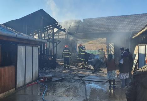 Incendiu violent într-o gospodărie din Bihor, pornit de la o afumătoare improvizată (FOTO)