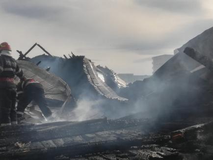 Incendiu devastator într-un bloc cu locuinţe sociale din Marghita (FOTO / VIDEO)