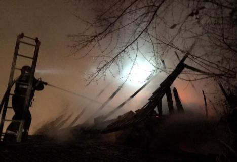 Incendiu violent la un şopron din Meziad, declanşat de un scurtcircuit (FOTO)