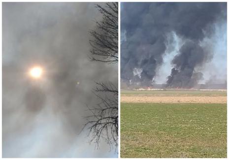 Incendii de vegetație, în mai multe localități din Bihor. Vezi care sunt acestea! (FOTO/VIDEO)