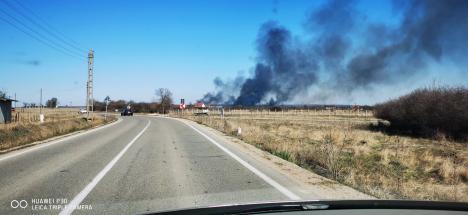 Incendii de vegetație, în mai multe localități din Bihor. Vezi care sunt acestea! (FOTO/VIDEO)